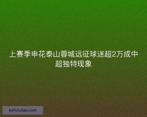 上赛季申花泰山蓉城远征球迷超2万成中超独特现象