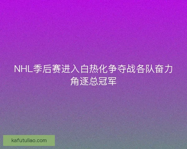 NHL季后赛进入白热化争夺战各队奋力角逐总冠军 NHL季后赛进入白热化争夺战各队奋力角逐总冠军